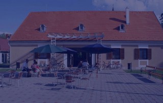 bd autosiskola tanterem bóly